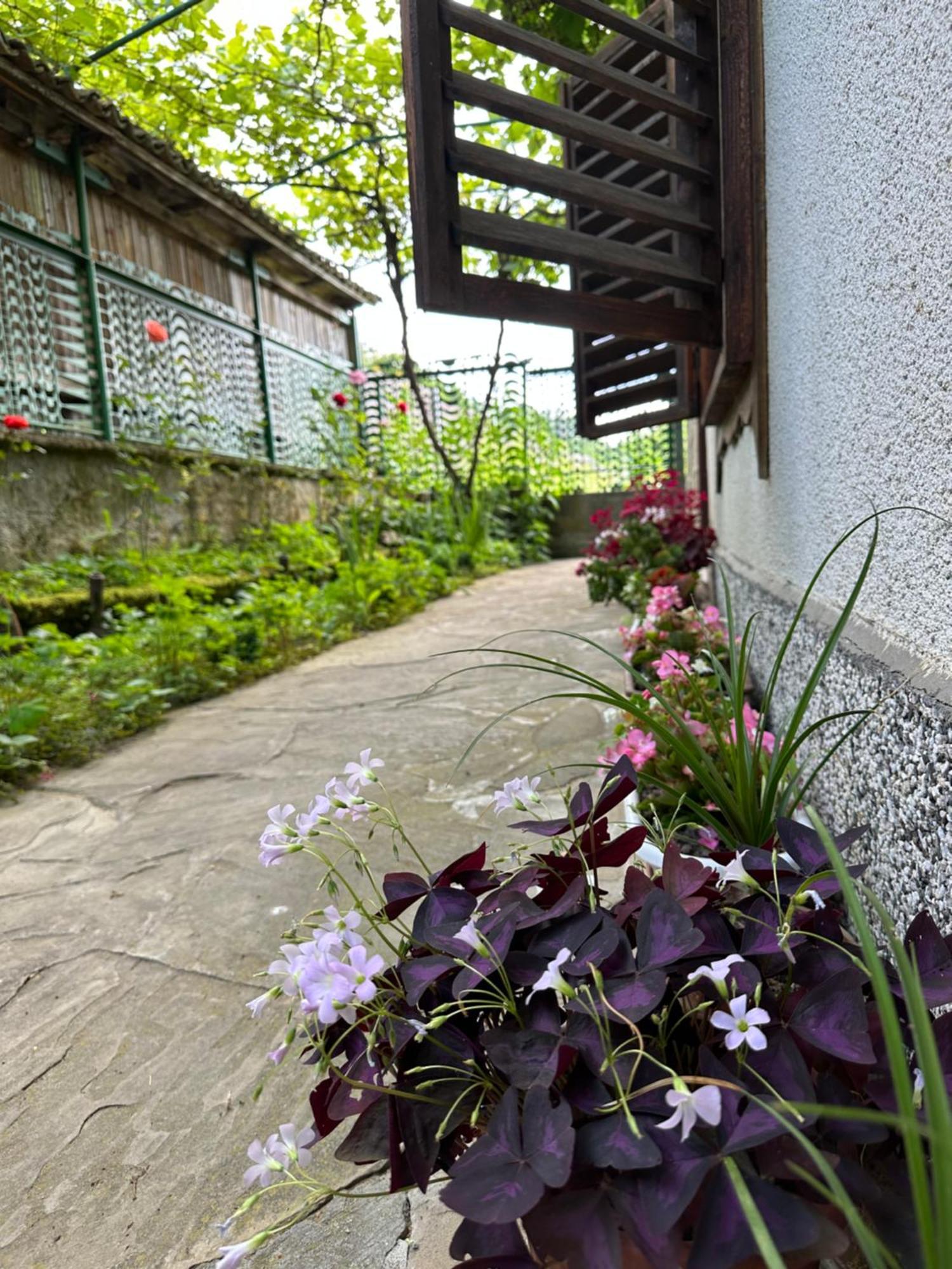 Вила Чевермето Palitsi Exterior foto