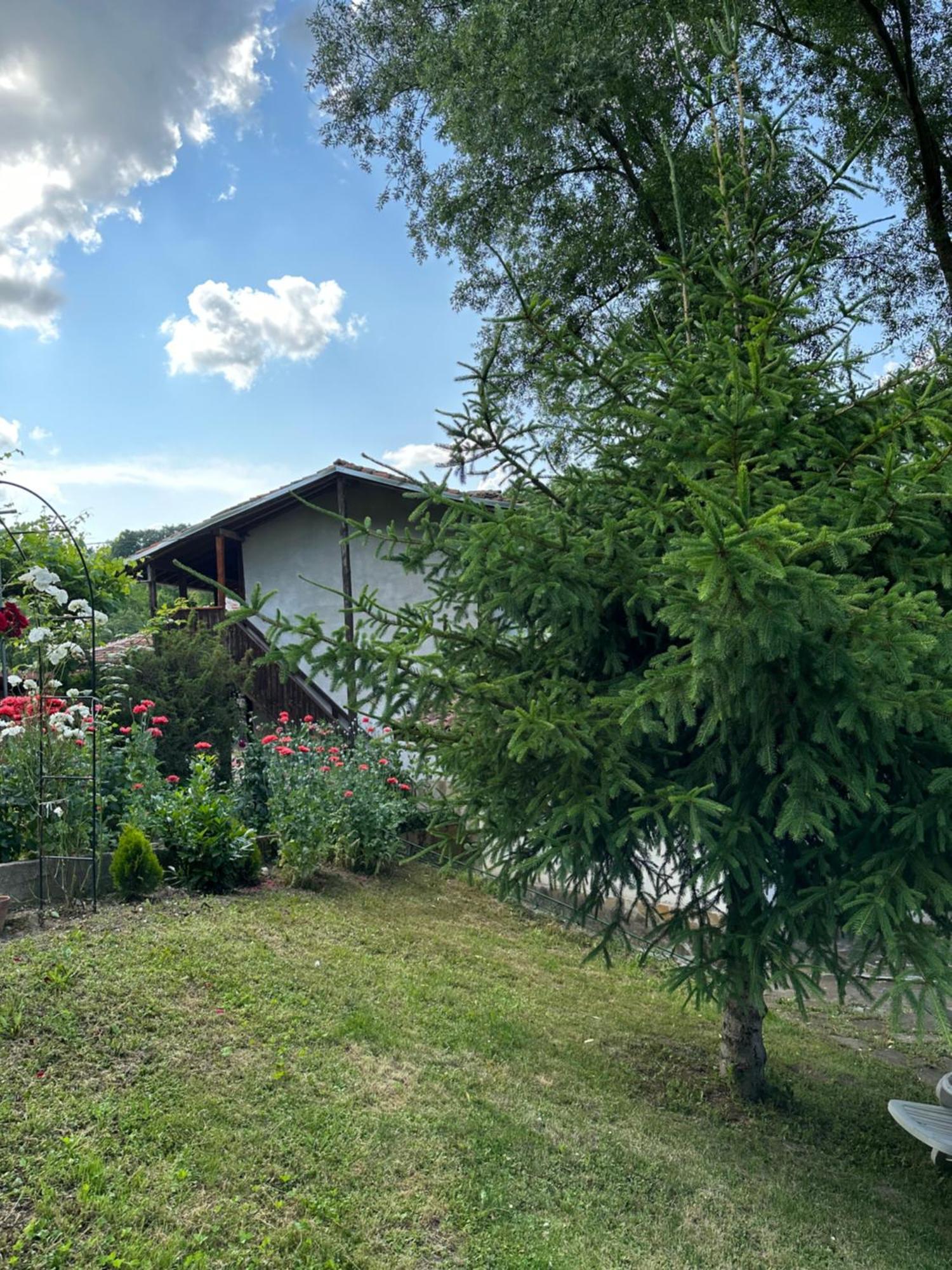 Вила Чевермето Palitsi Exterior foto